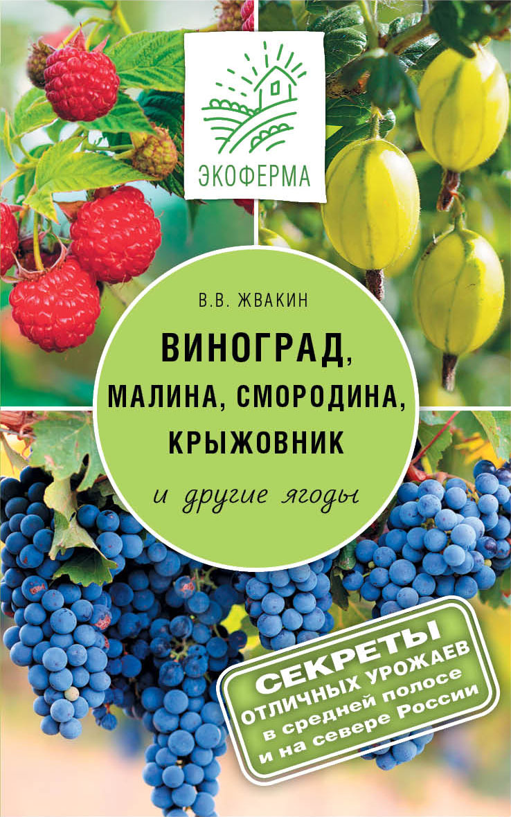 Жвакин Виктор Владимирович Виноград, малина, смородина, крыжовник и другие ягоды - страница 0