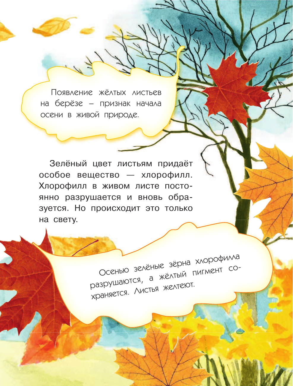 Григорьев Олег Евгеньевич Биология - страница 4