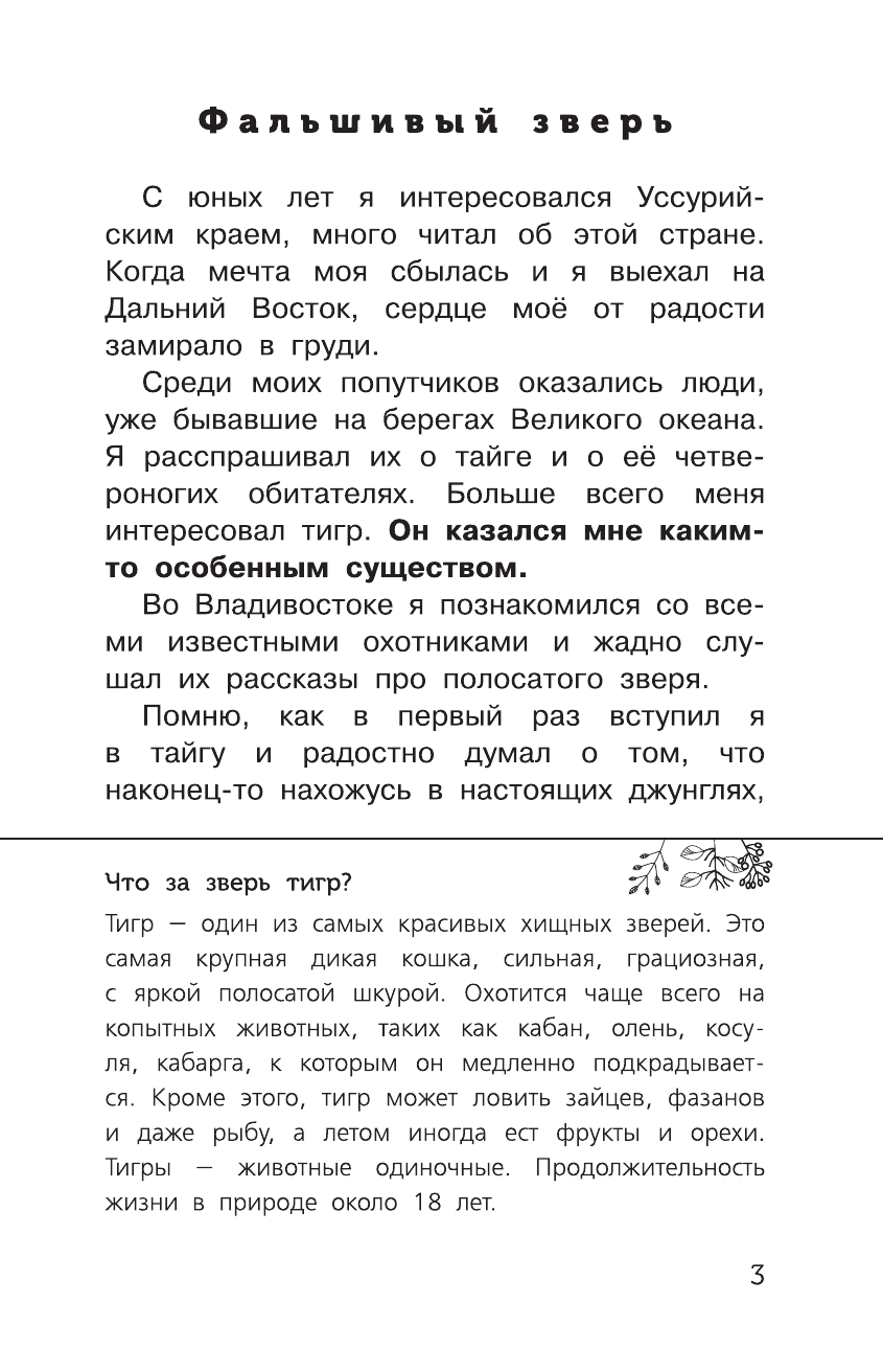  В тайге - страница 4