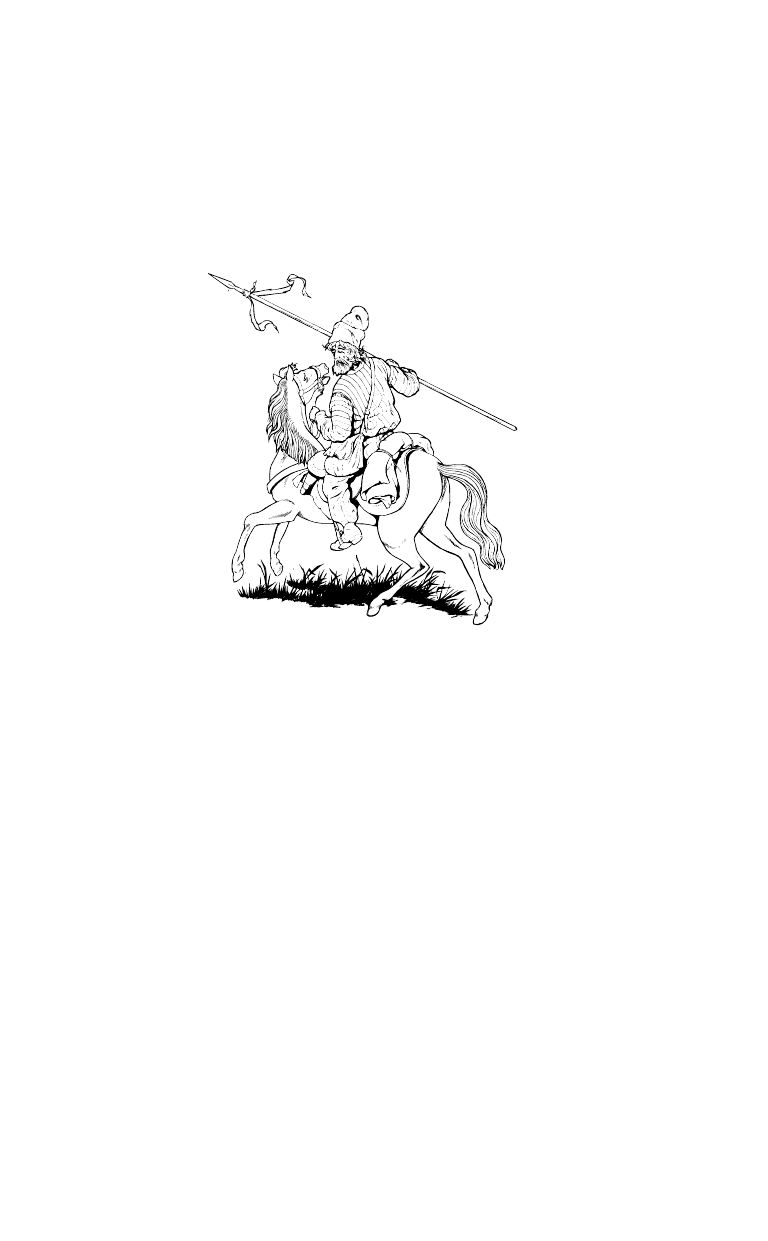 Кулик Степан  Новик, невольник, казак - страница 2