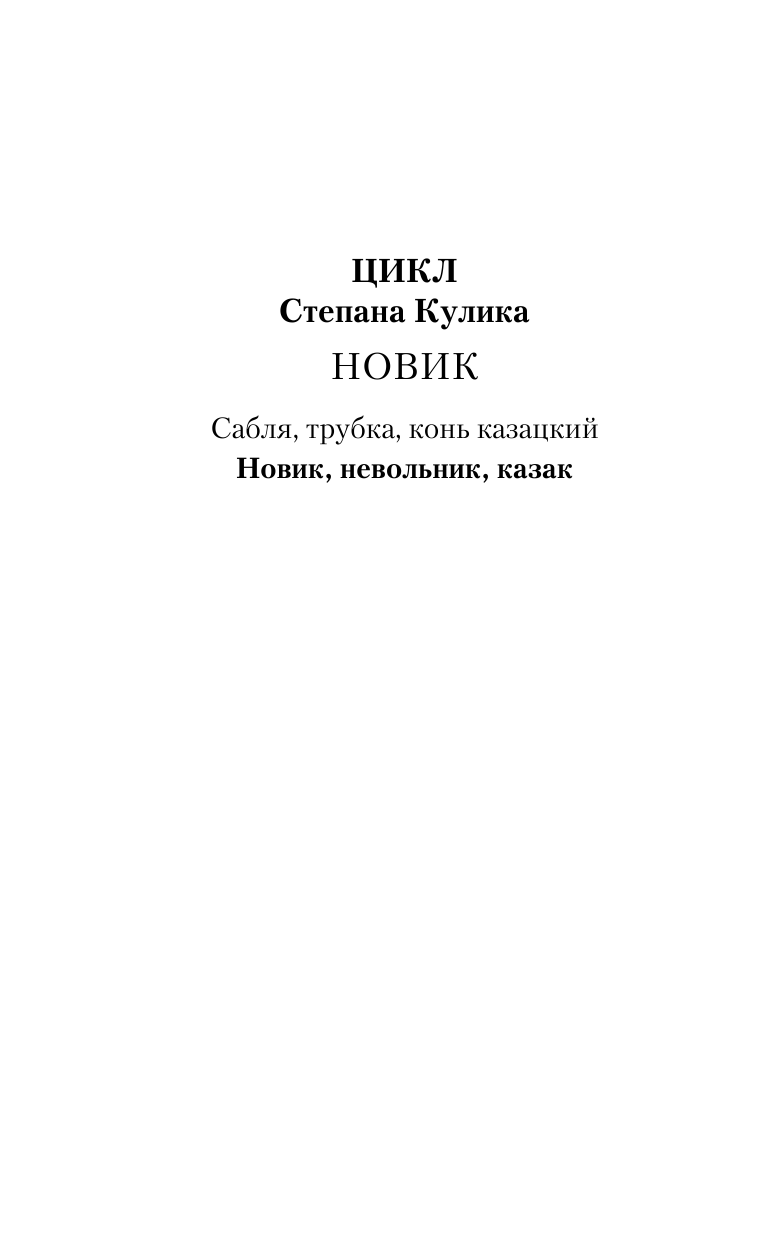 Кулик Степан  Новик, невольник, казак - страница 3