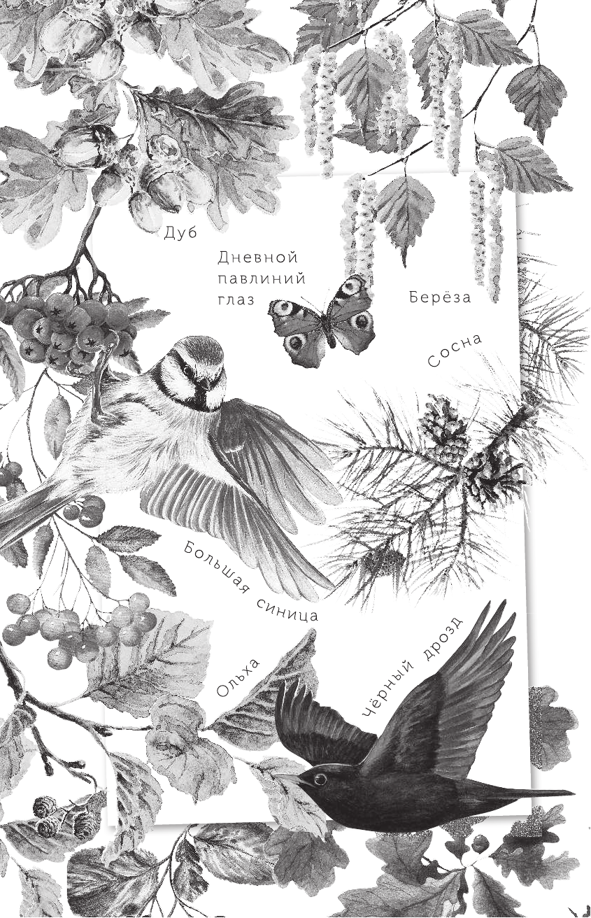  Спор животных - страница 3