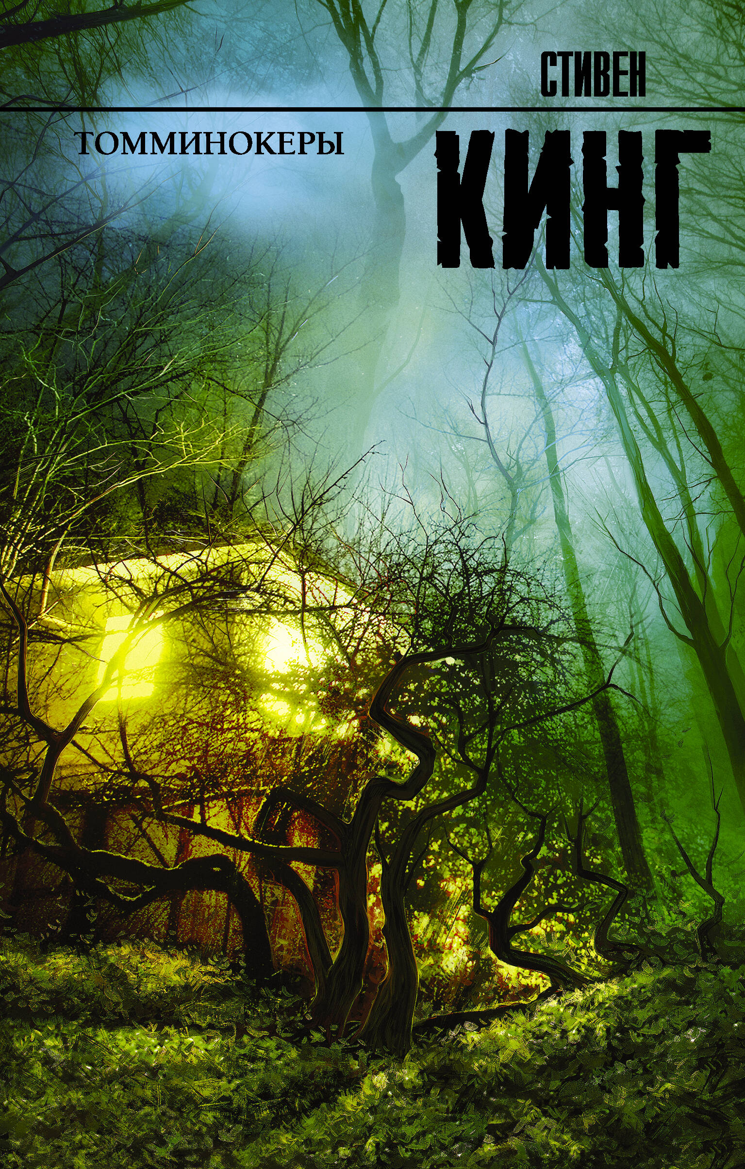 Кинг Стивен Томминокеры - страница 0
