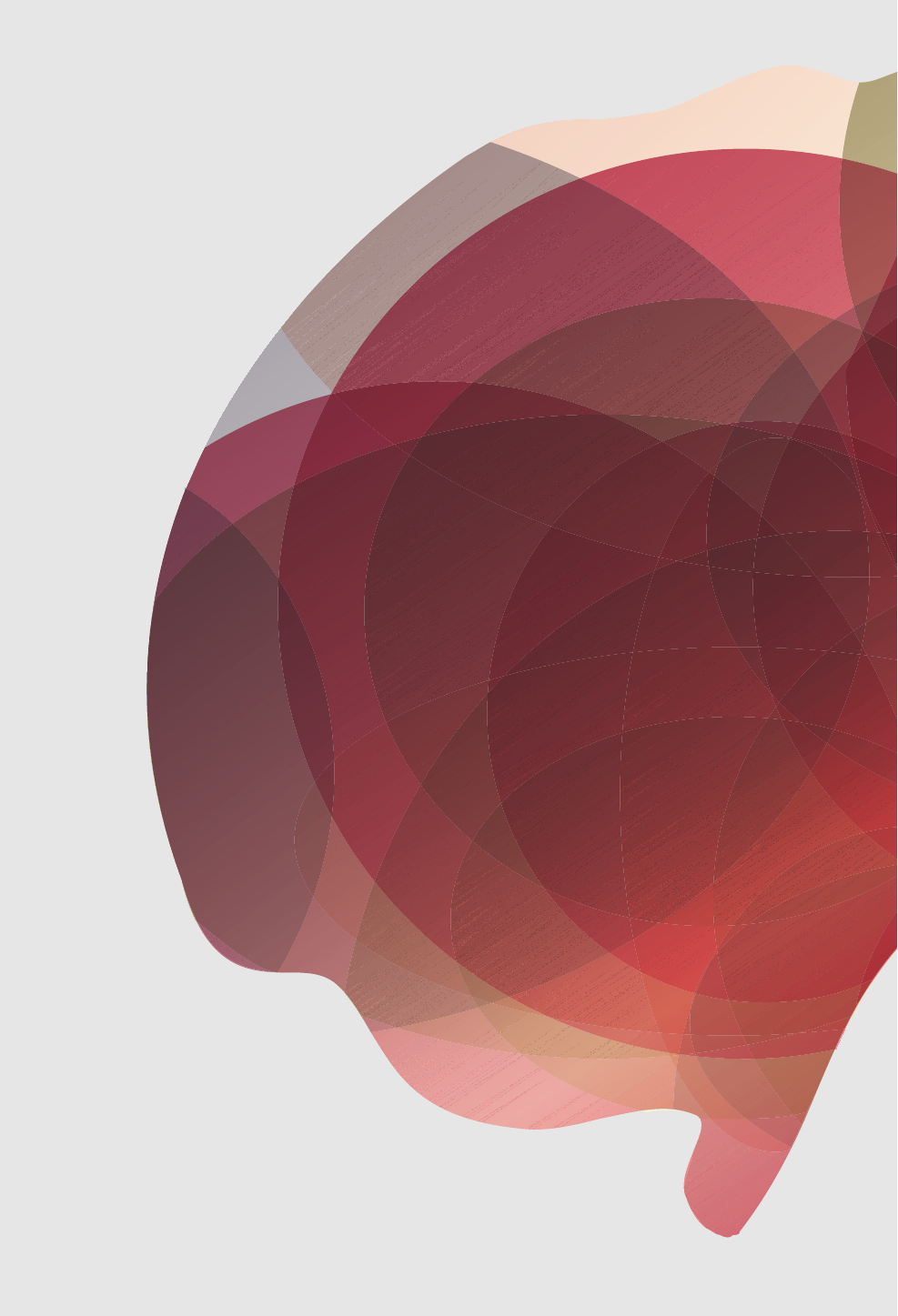 Сварник Ольга Евгеньевна Мозг за минуту - страница 3