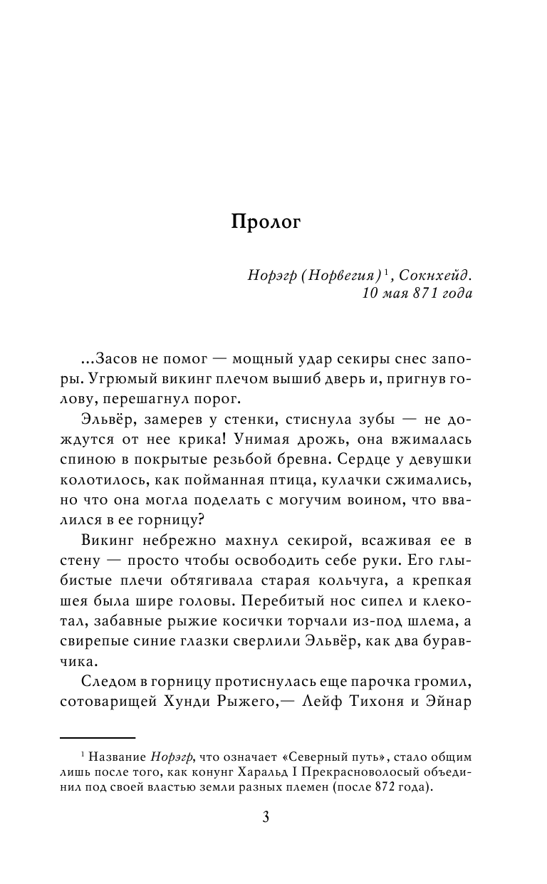 Большаков Валерий Петрович Викинг туманного берега - страница 4