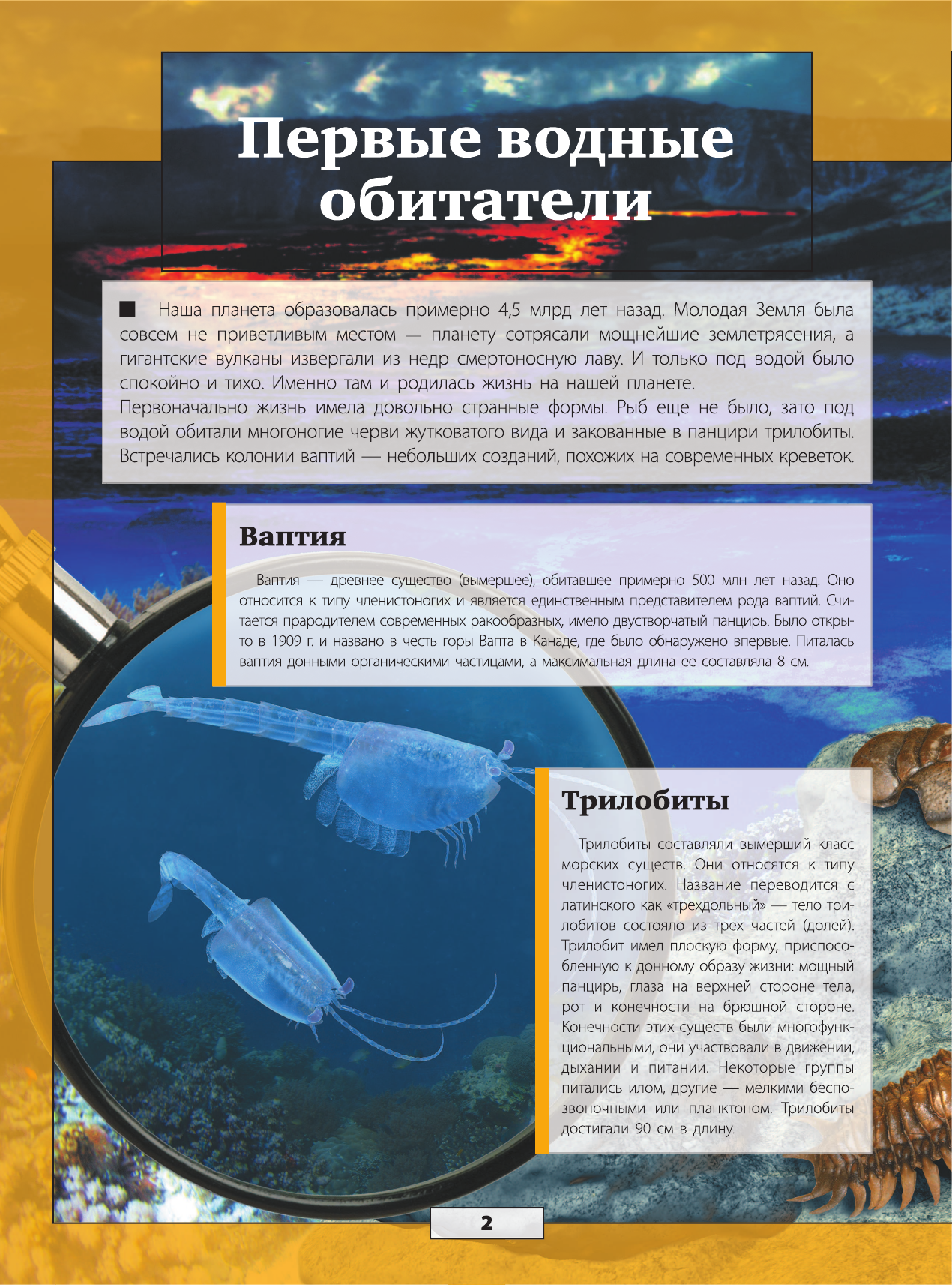 Кошевар Дмитрий Васильевич, Ликсо Вячеслав Владимирович, Никитенко Ирина Юрьевна Подводный мир - страница 3