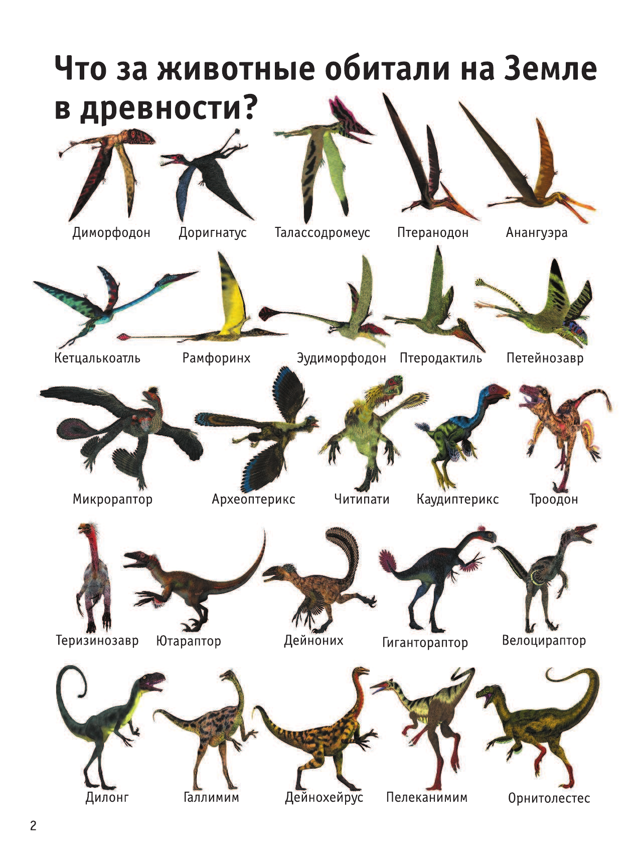Барановская Ирина Геннадьевна Отчего и Зачем? Для маленьких почемучек - страница 3