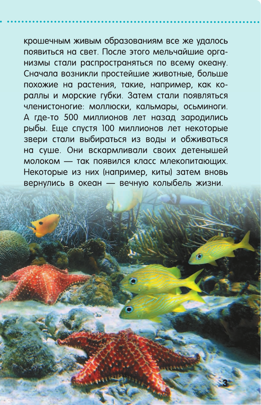  Жители морей и океанов - страница 4
