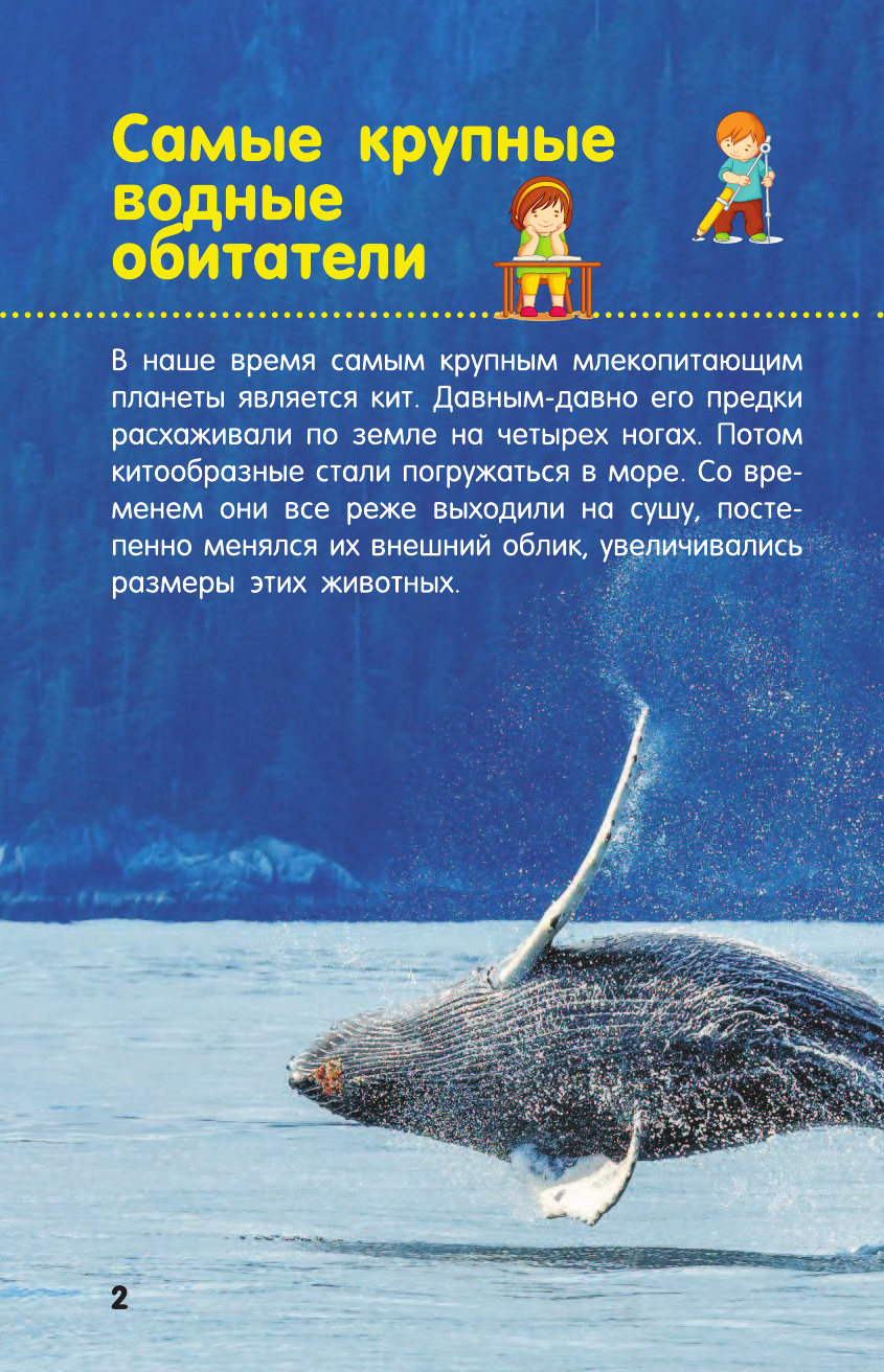  Акулы, киты, дельфины - страница 3
