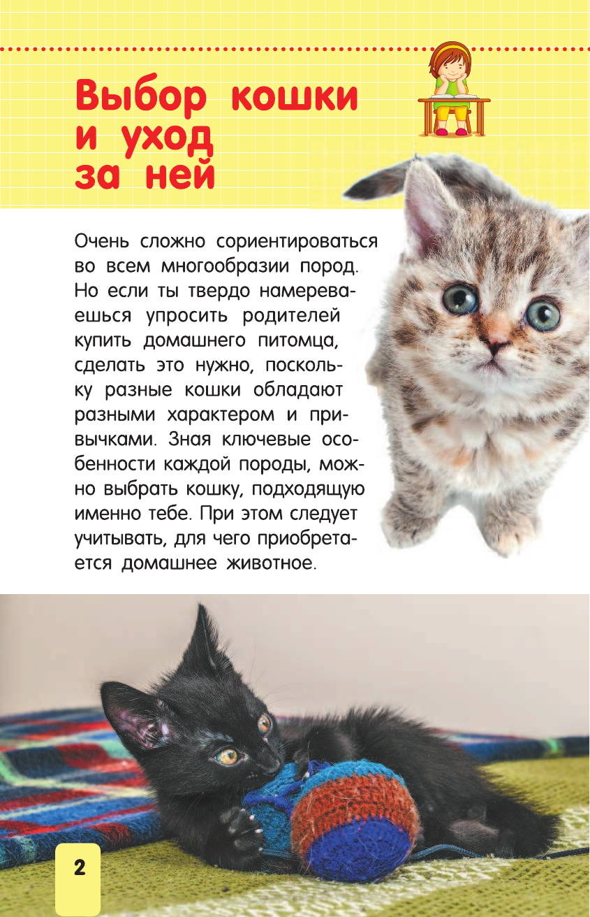  Кошки и котята - страница 3