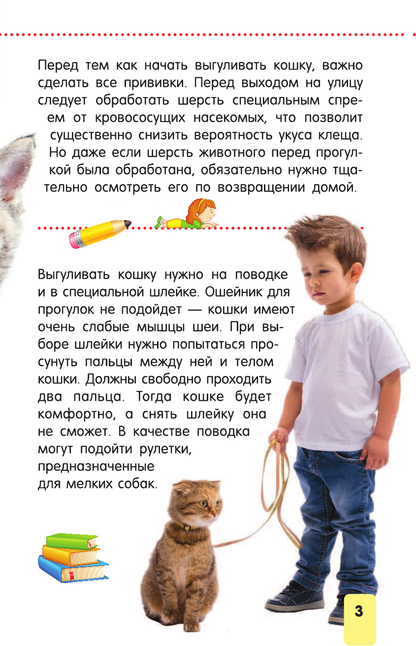  Кошки и котята - страница 4