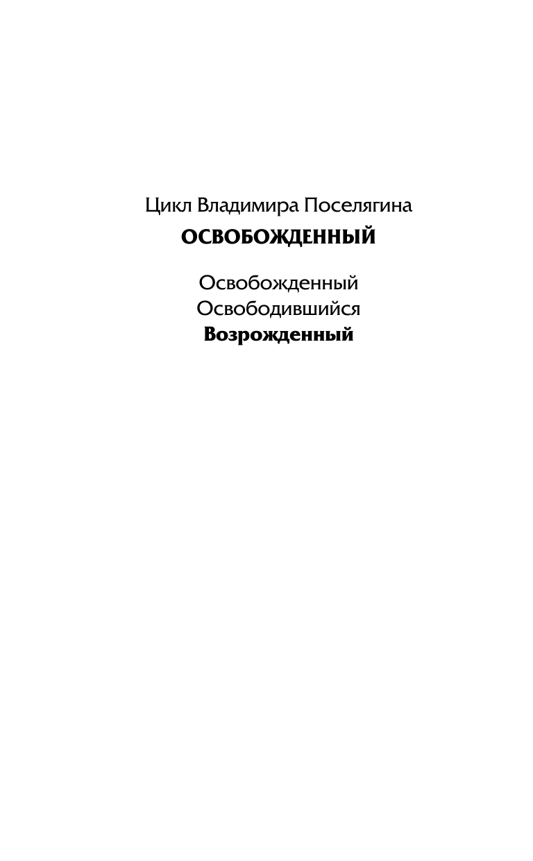 Поселягин Владимир Геннадьевич Возрожденный - страница 3