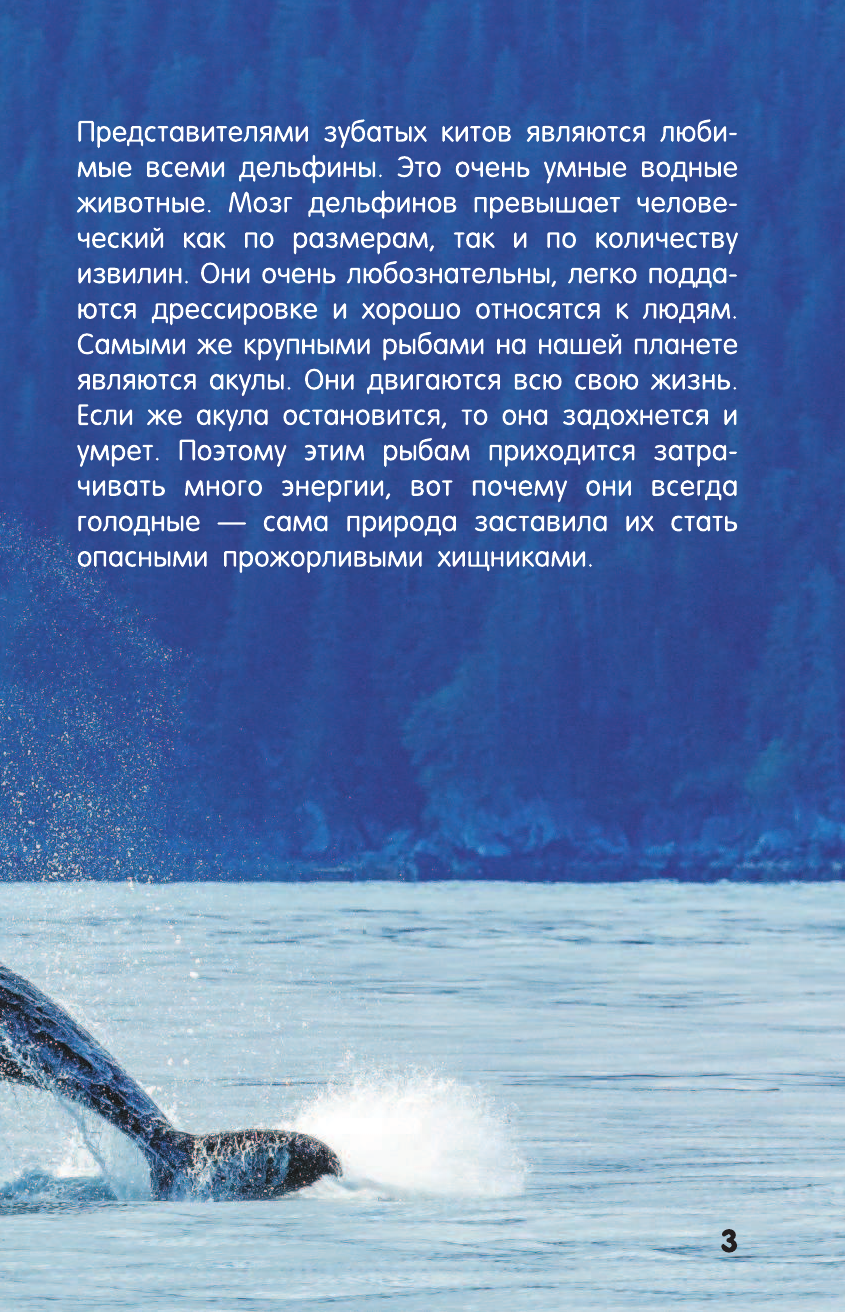  Акулы, киты, дельфины - страница 4