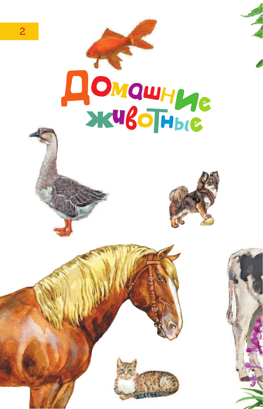  Всё о животных для самых маленьких - страница 3