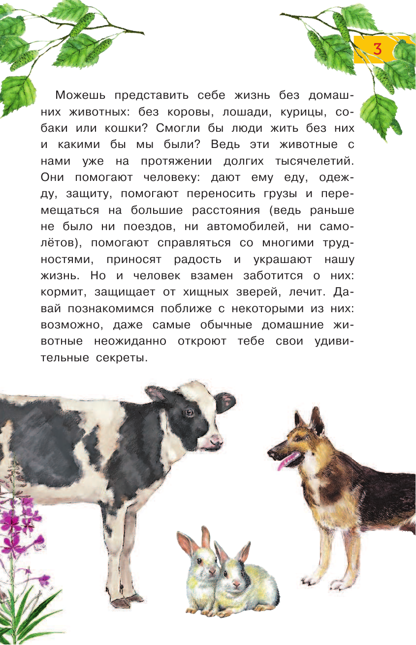  Всё о животных для самых маленьких - страница 4