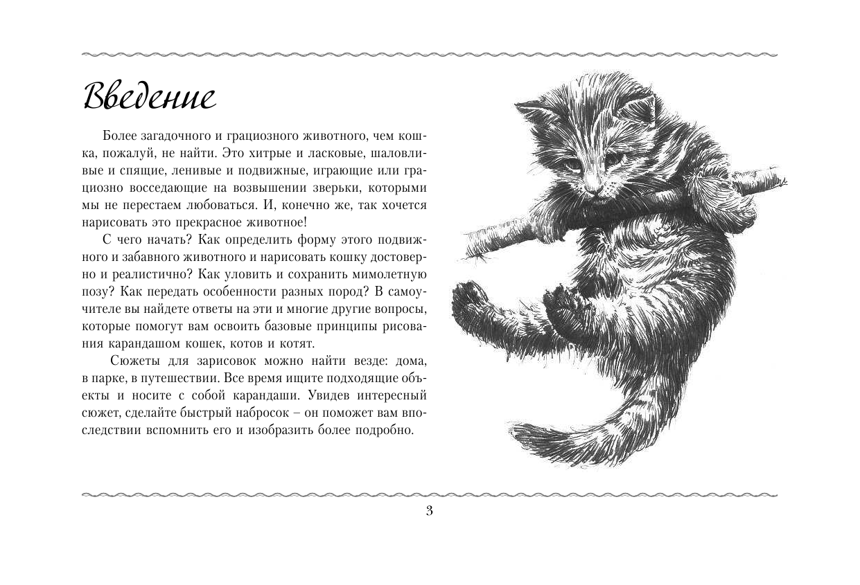  Рисуем кошек - страница 4