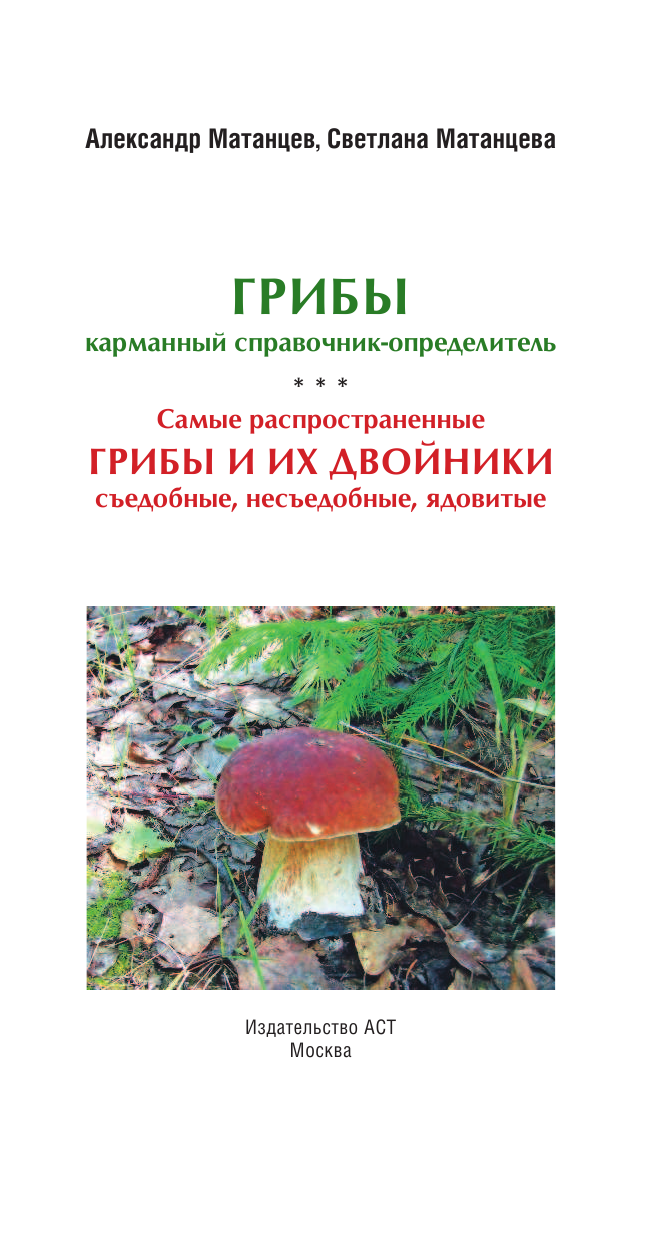 Матанцев Александр Николаевич, Матанцева С. Г. Самые распространенные грибы и их двойники съедобные, несъедобные, ядовитые - страница 4