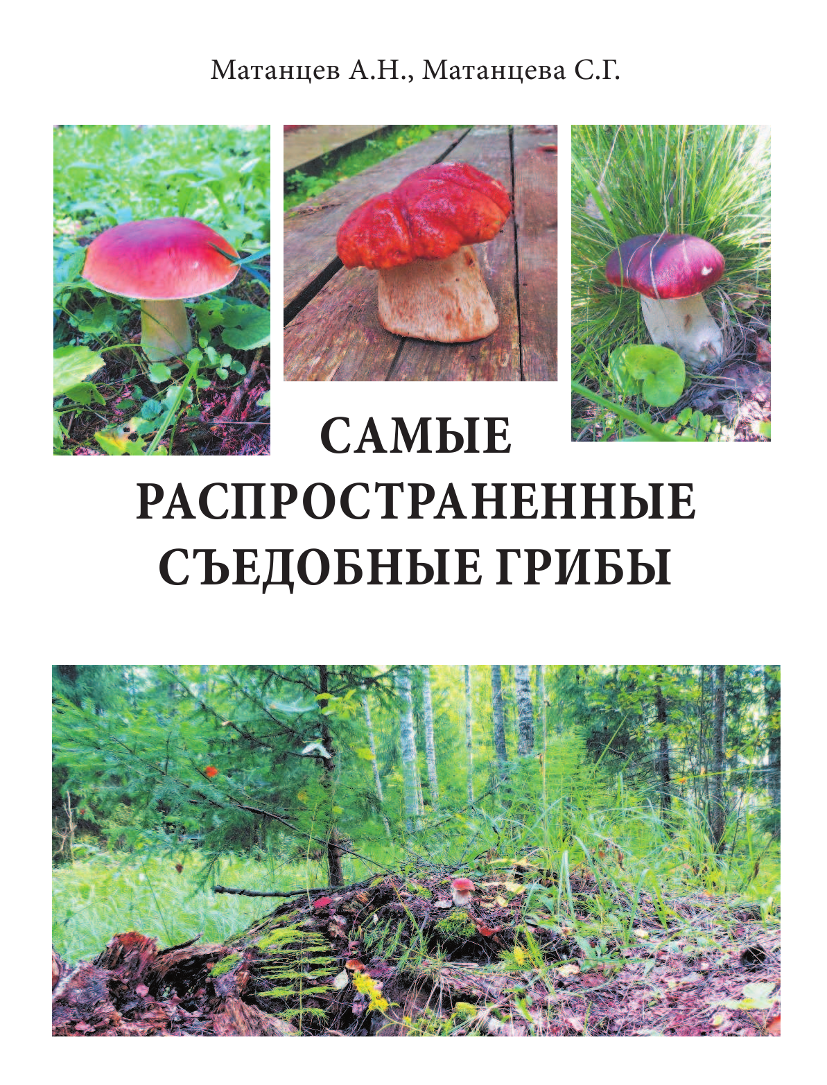 Матанцев Александр Николаевич, Матанцева С. Г. Самые распространенные съедобные грибы - страница 2