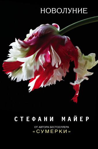 «Новолуние» Майер Стефани - описание книги | Стефани Майер: Возвращение ...