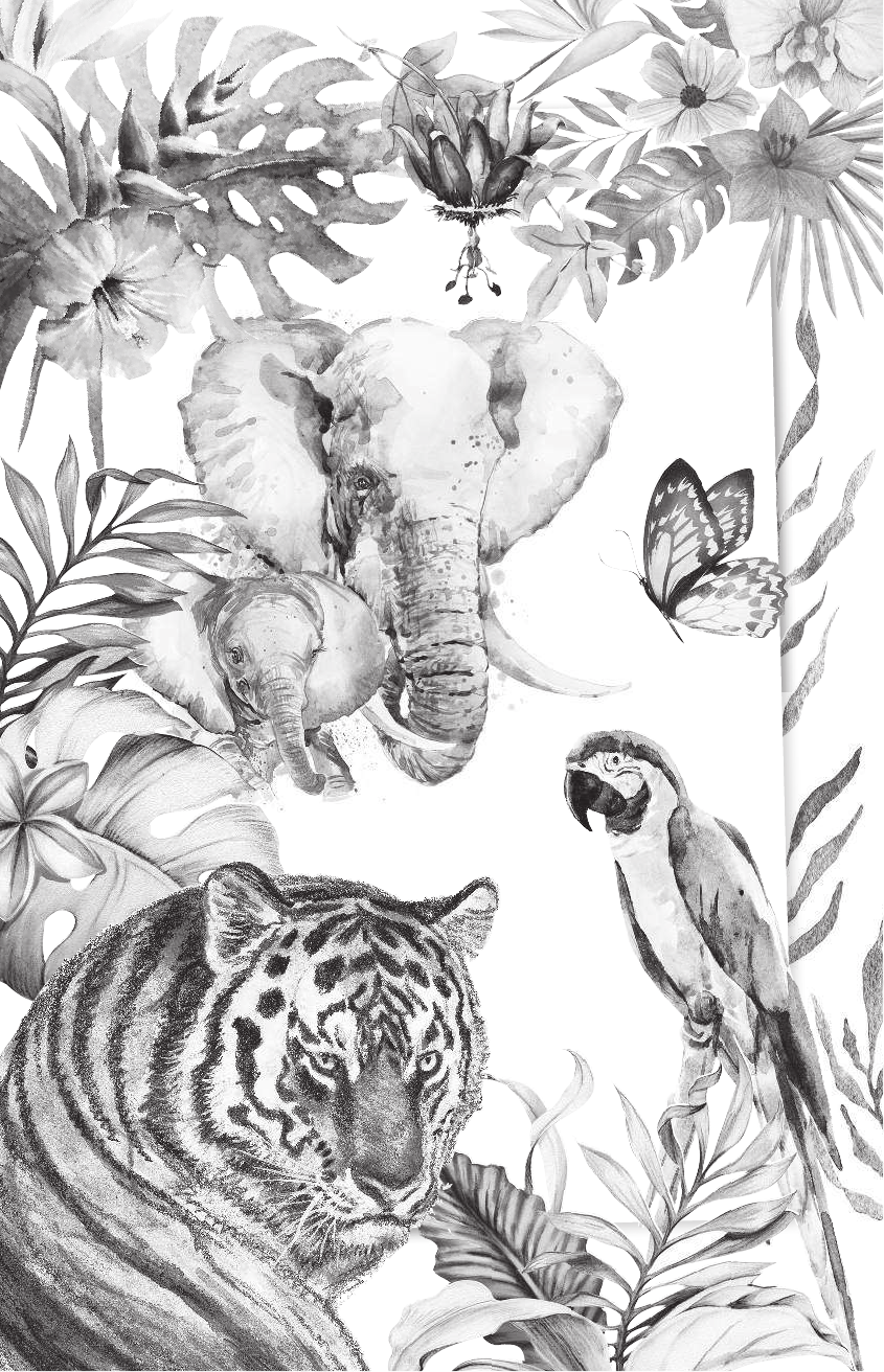 Акимушкин И. Рассказы о любимых животных - страница 3