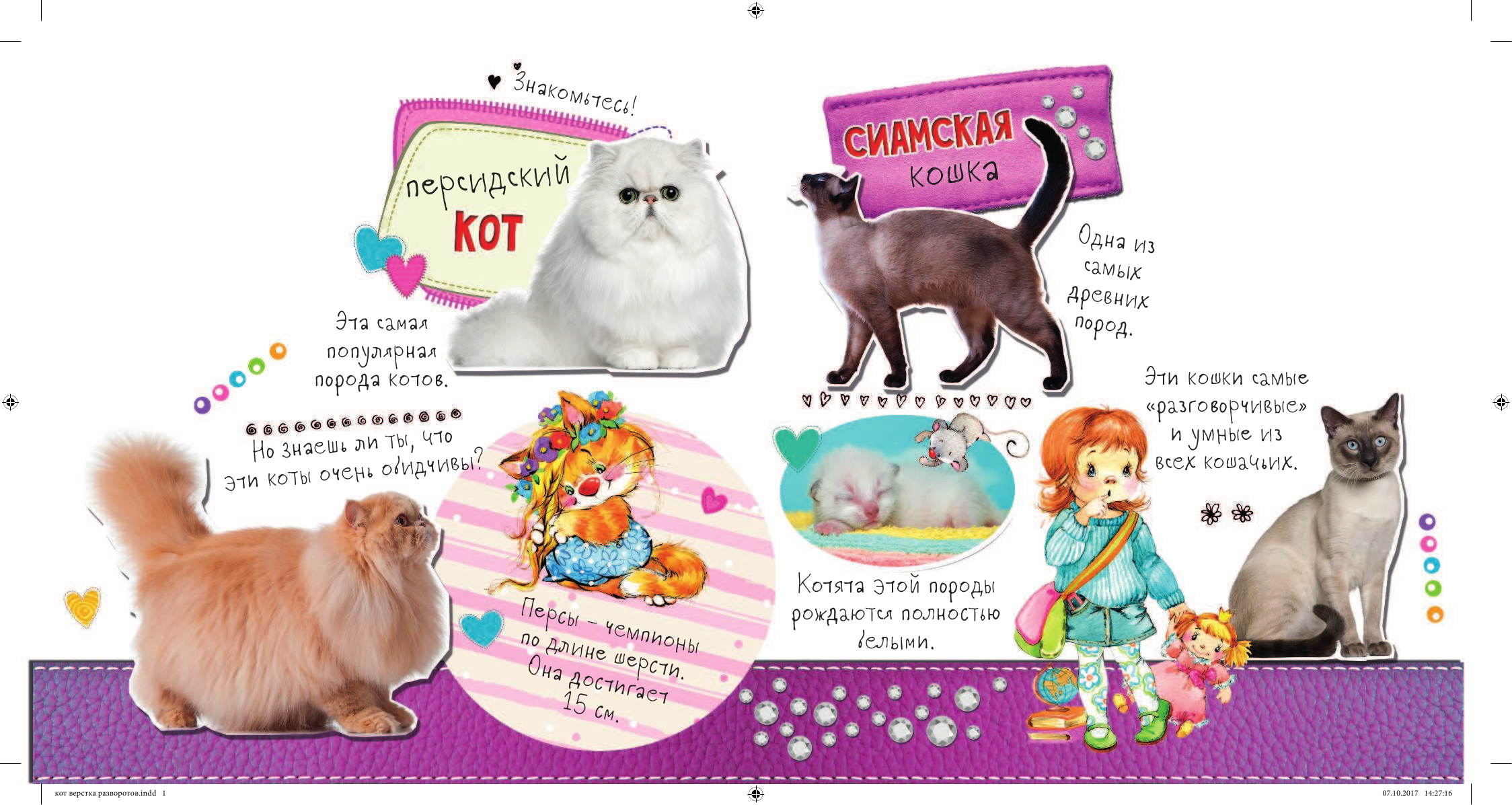  Мой любимый котенок - страница 2