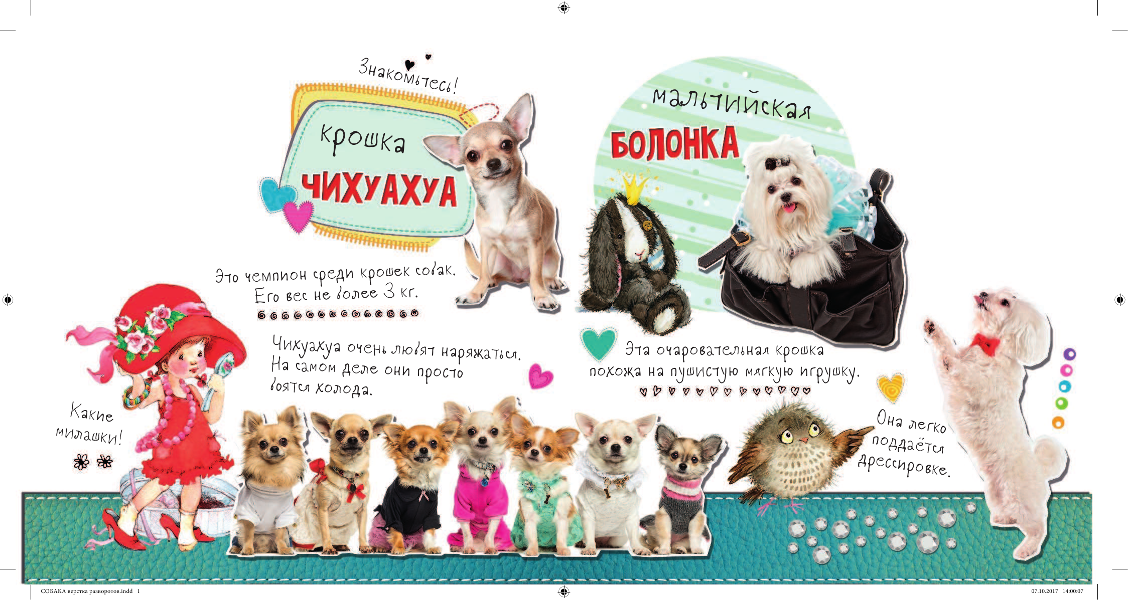  Мой любимый щенок - страница 2