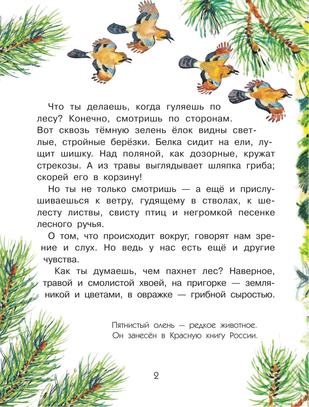 Танасийчук Виталий Николаевич Для чего коту усы? - страница 3