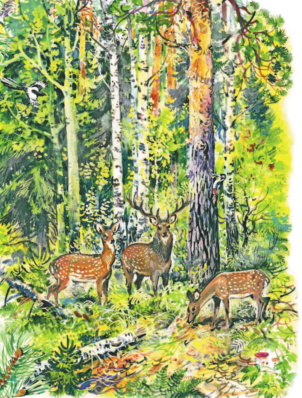 Танасийчук Виталий Николаевич Для чего коту усы? - страница 4