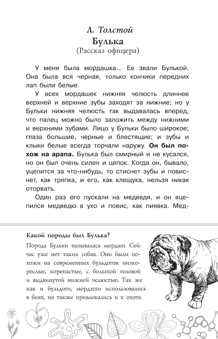 Паустовский Константин Георгиевич, Шукшин Василий Макарович, Астафьев Виктор Петрович Биология - страница 4