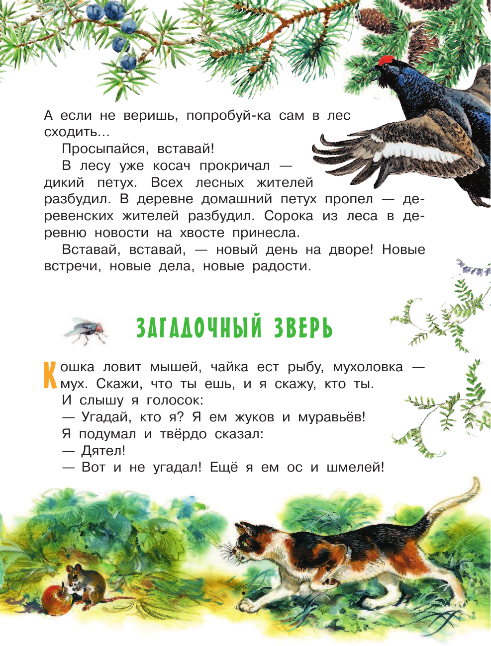 Сладков Николай Иванович Лесные сказки - страница 4