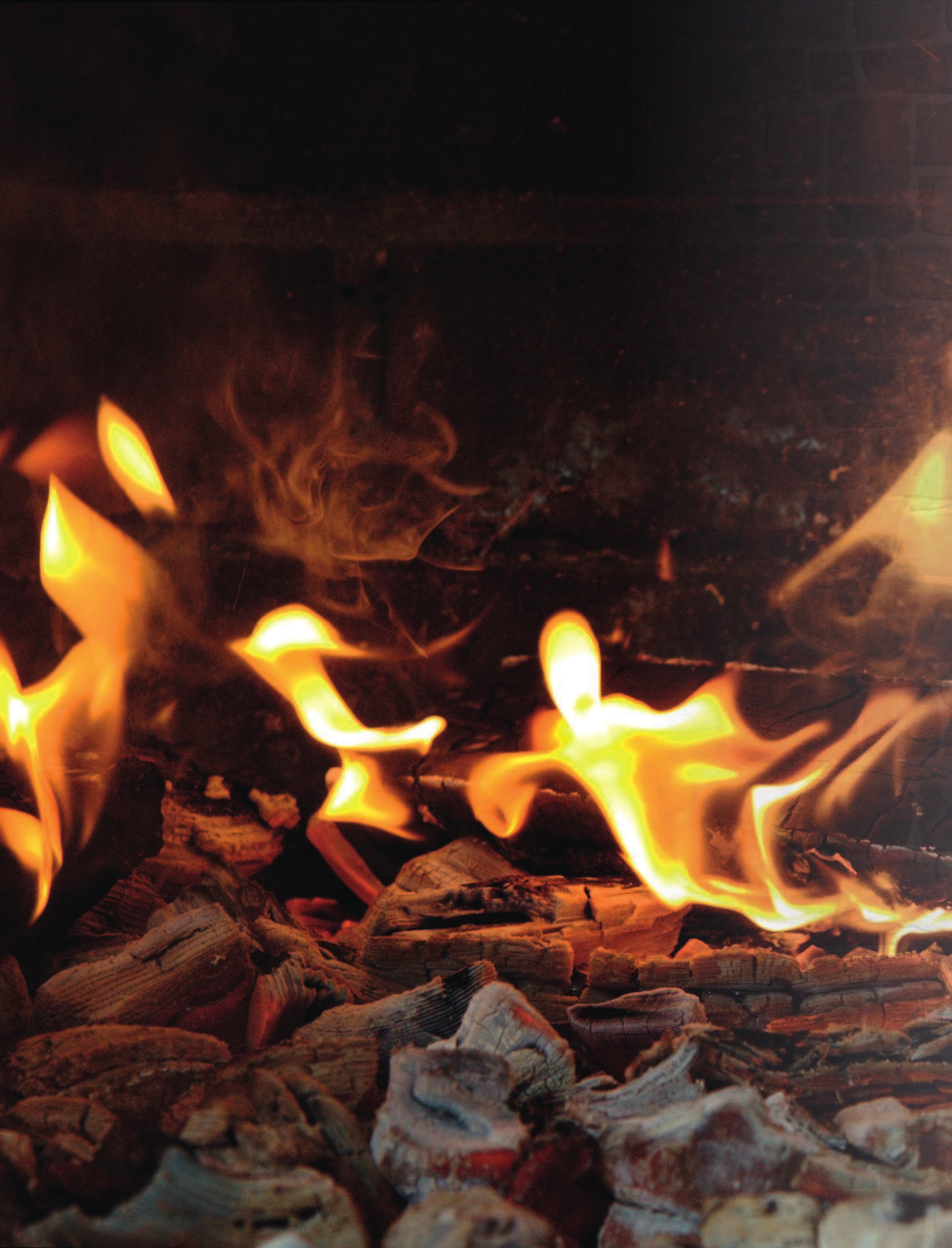 Полетаева Н. В. Шашлык, плов, люля-кебаб по ГОСТу от Ташкента до Тбилиси - страница 3