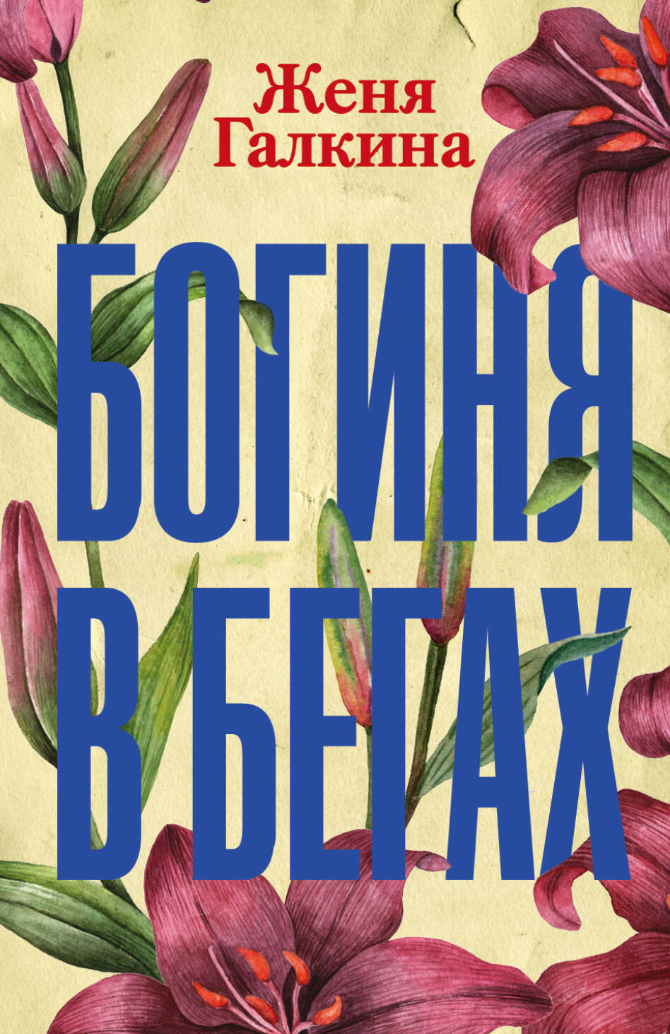 Галкина Женя  Богиня в бегах - страница 0