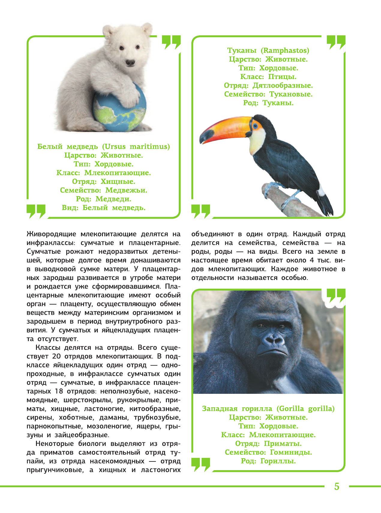 Блохина Ирина Валериевна, Спектор Анна Артуровна, Тараканова Марина Владимировна Большая книга для каждого образованного человека. 10 000 фактов, дат, событий - страница 4