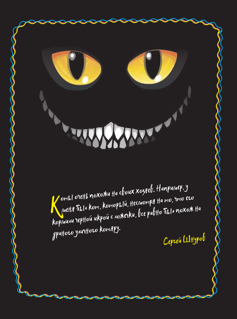 Гэ Леди #КОТИКИ. Главная книга в текстах, иллюстрациях и мимими - страница 2