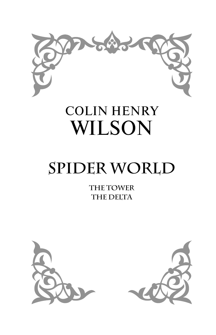 Шабрин Александр, Уилсон Колин Мир пауков: Башня. Дельта - страница 3