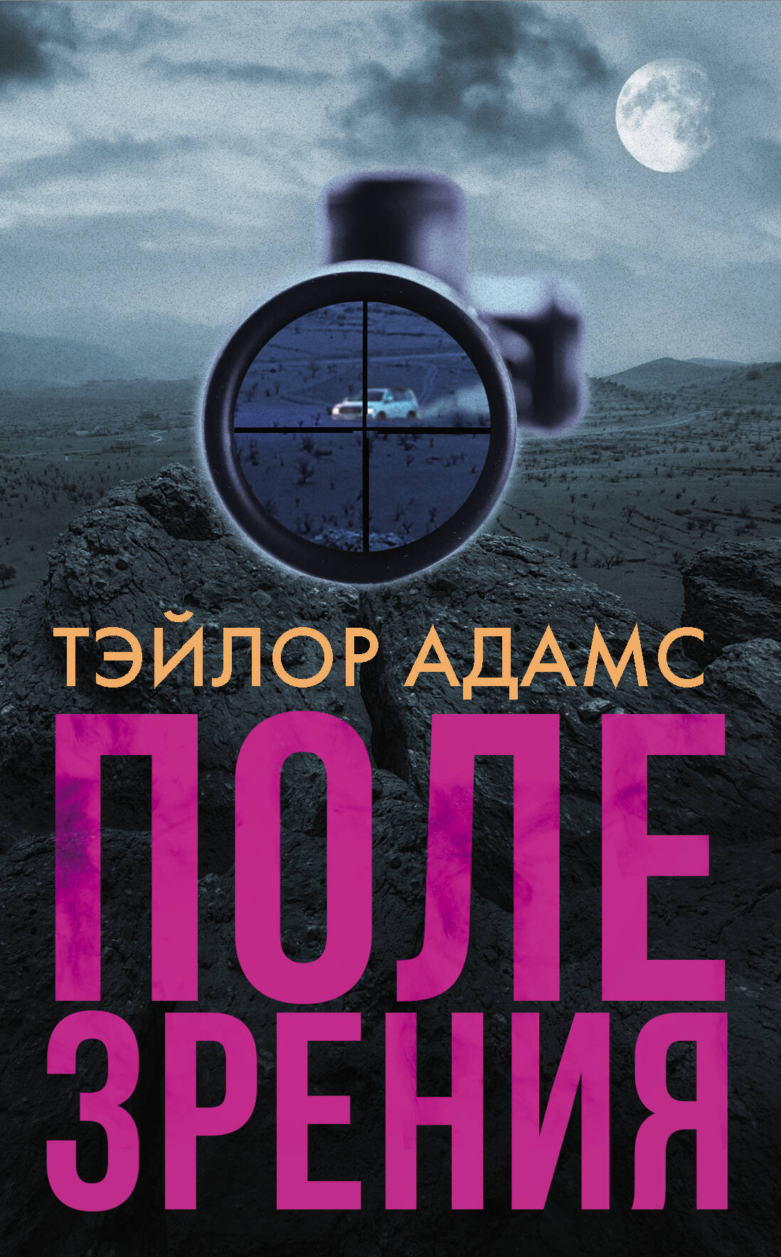 Адамс Тэйлор Поле зрения - страница 0