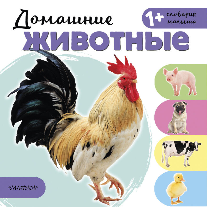  Домашние животные - страница 0