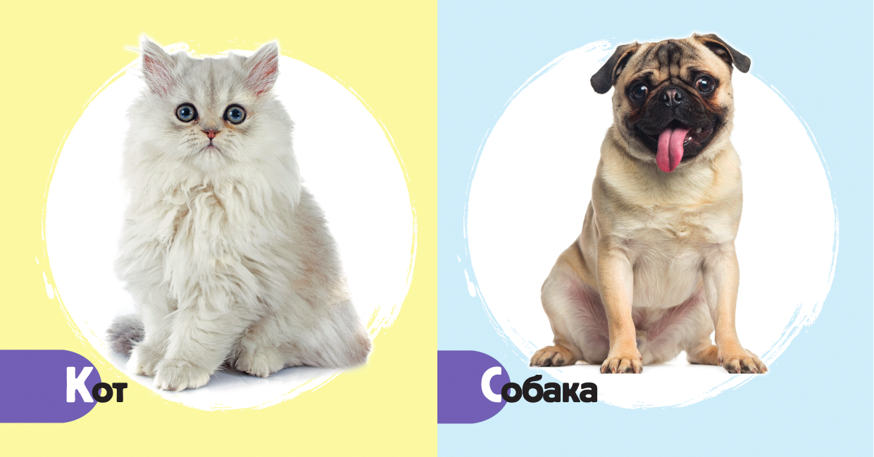  Домашние животные - страница 1