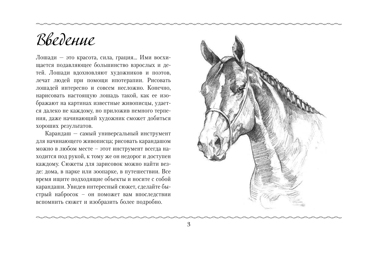  Рисуем лошадей - страница 4