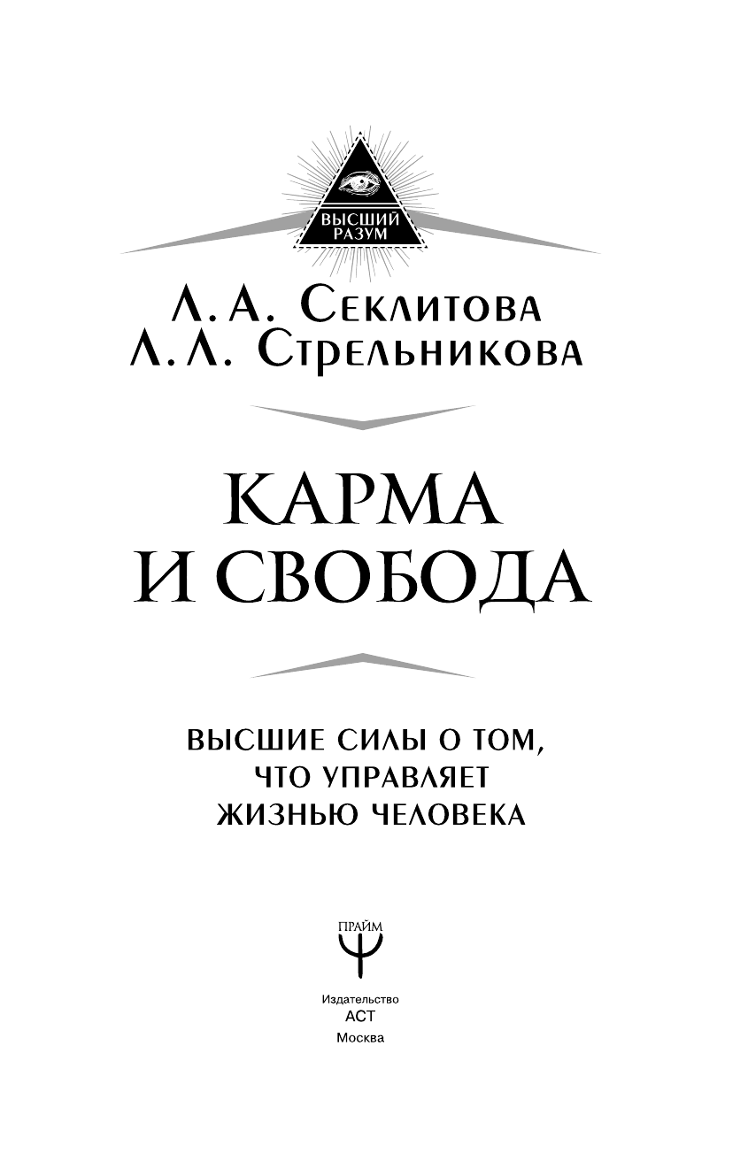 Стрельникова Людмила Леоновна Карма и свобода. Высшие силы о том, что управляет жизнью человека - страница 4