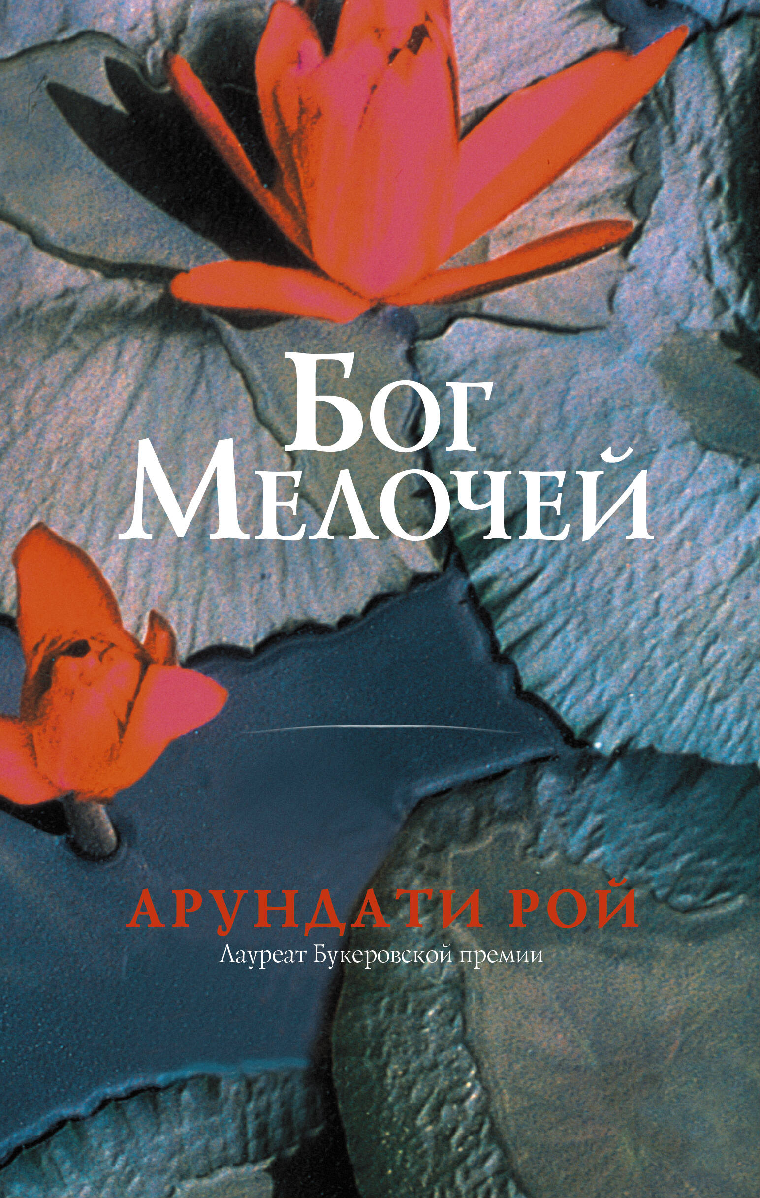 Рой Арундати Бог Мелочей - страница 0