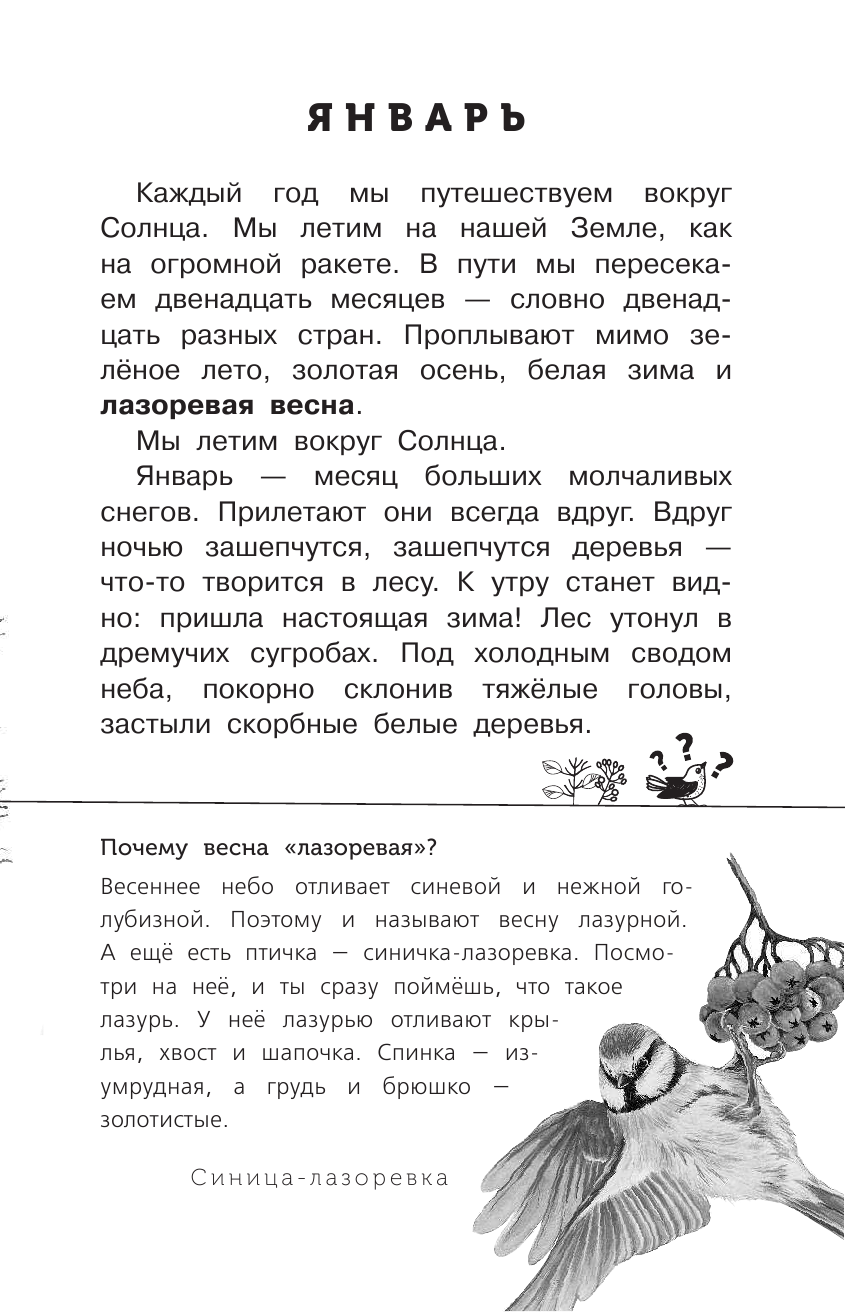 Сладков Николай Иванович Лесные тайнички - страница 4