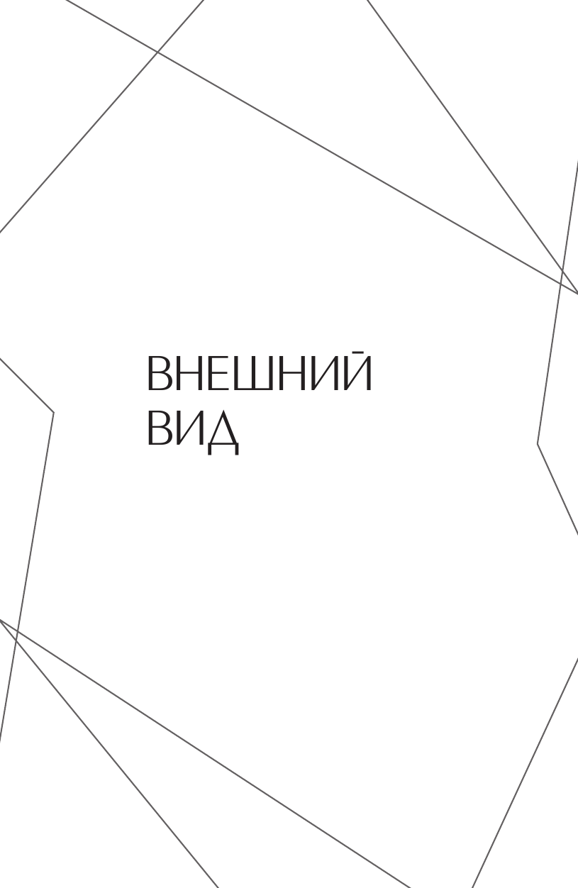 Буше Марии  Элегантный флирт - страница 4