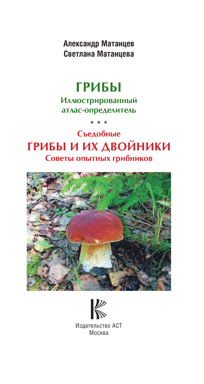 Матанцев Александр Николаевич, Матанцева С. Г. Съедобные грибы и их двойники. Советы опытных грибников - страница 4