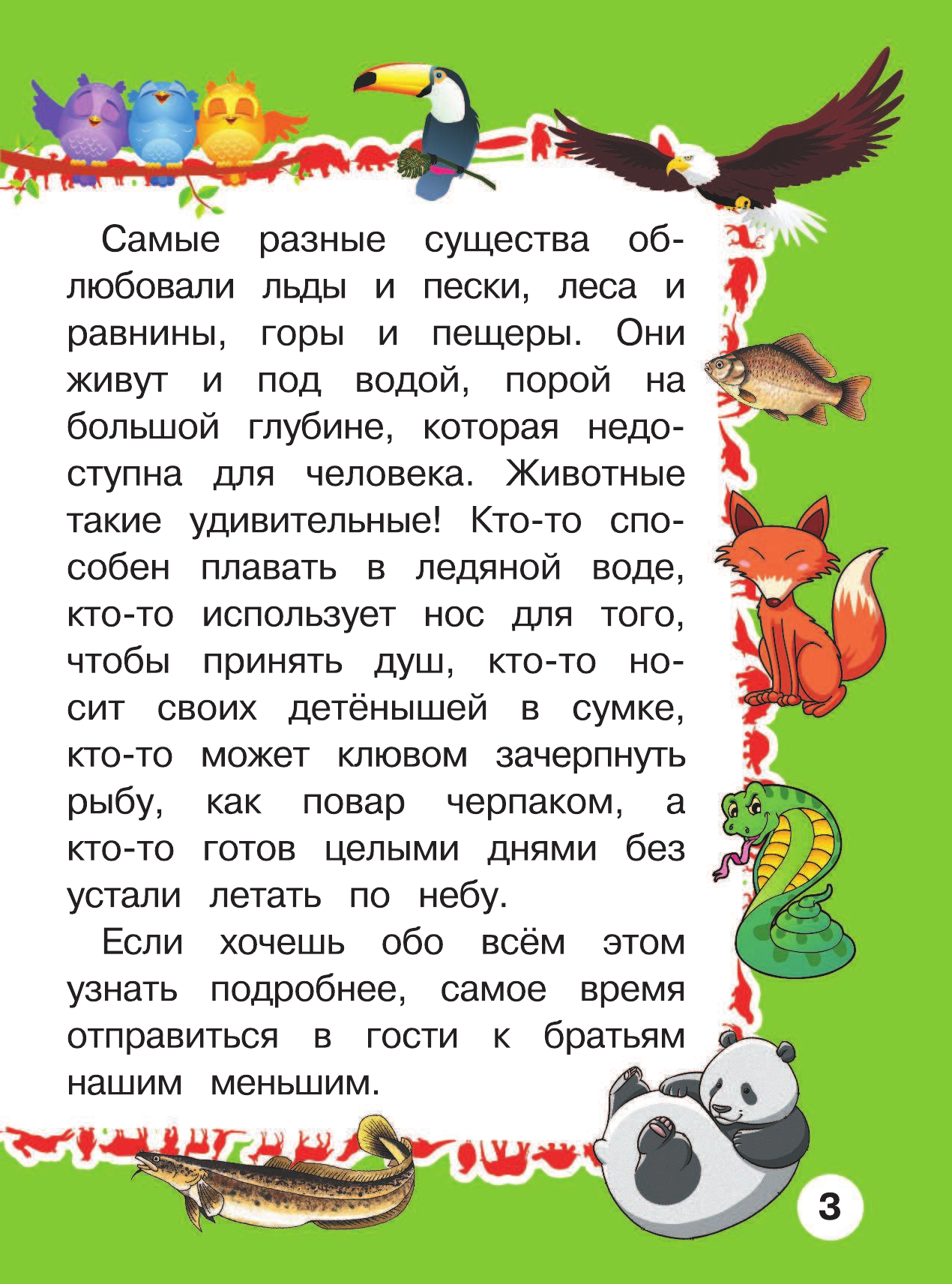 Барановская Ирина Геннадьевна Животные Первая книга с крупными буквами - страница 4