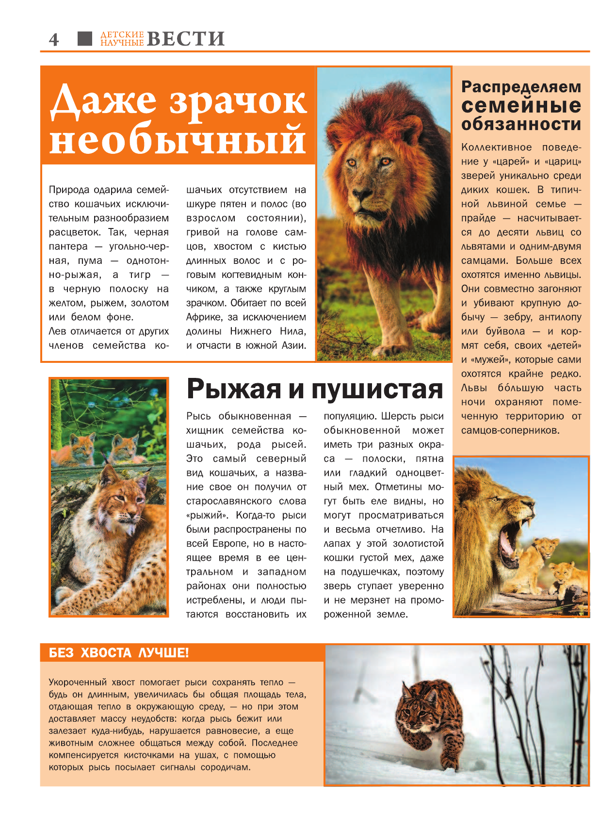 Вайткене Любовь Дмитриевна, Папуниди Елена Алексеевна Самые удивительные животные - страница 3