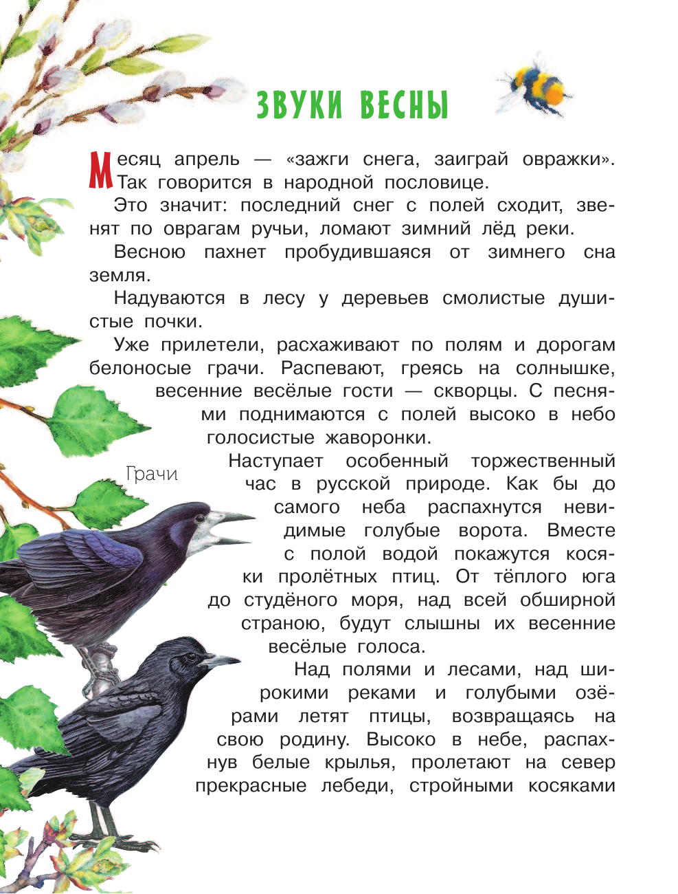 Соколов-Микитов Иван Сергеевич Лесные рассказы - страница 3