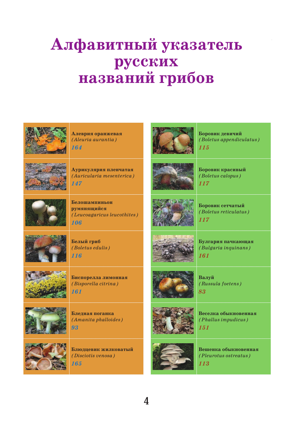 Поленов А. Б. Иллюстрированная энциклопедия грибника. - страница 4