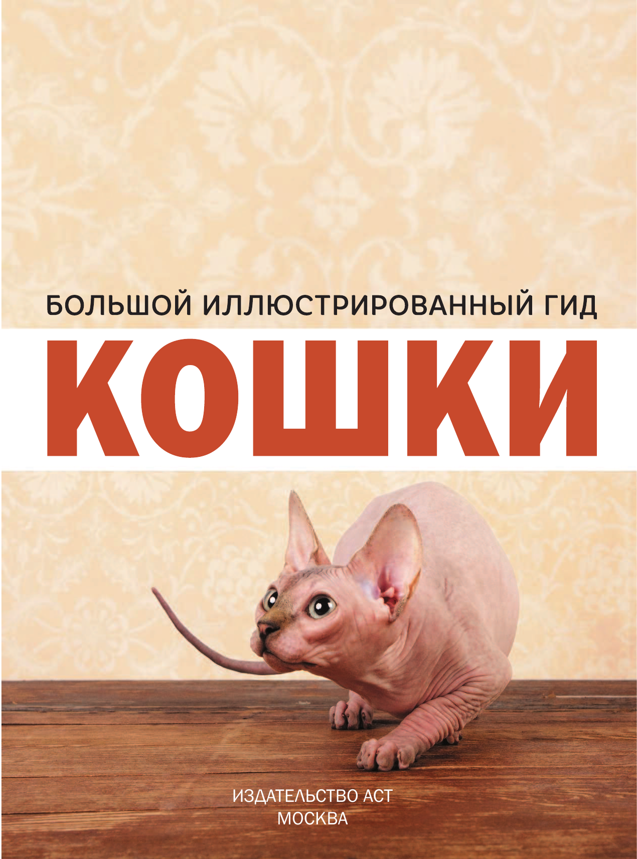  Кошки - страница 2