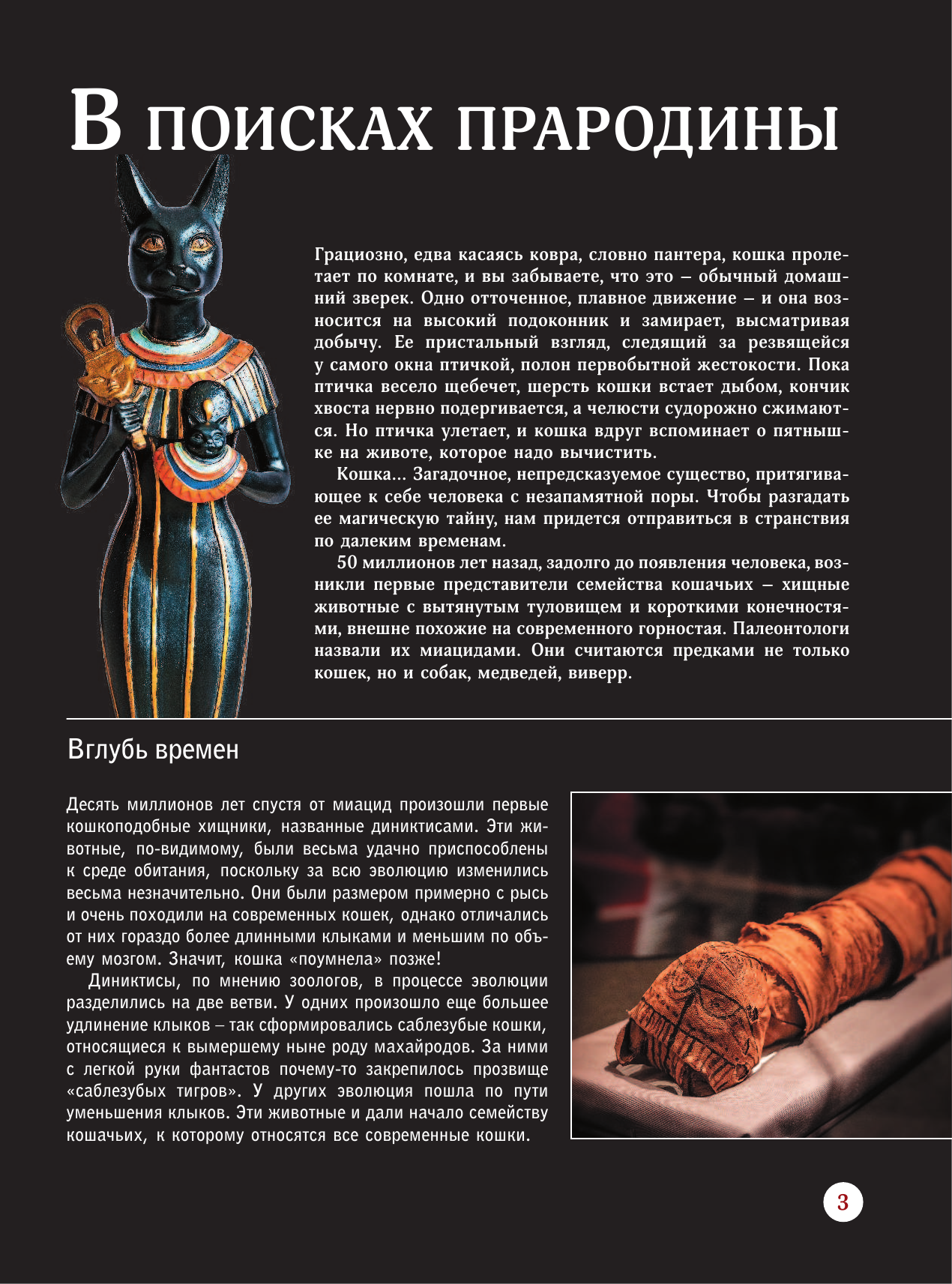  Кошки - страница 4